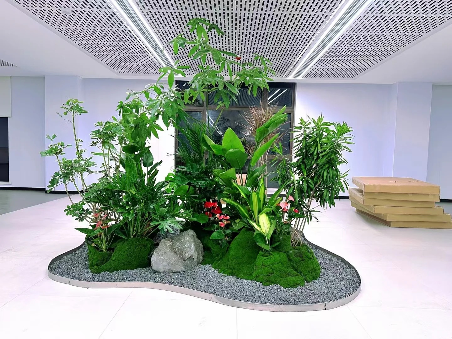 了解镇海植物租赁方案，为空间增添一抹绿